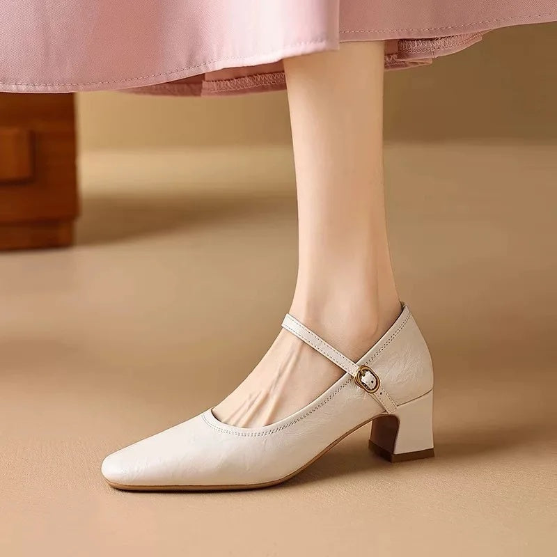 Beige / 12