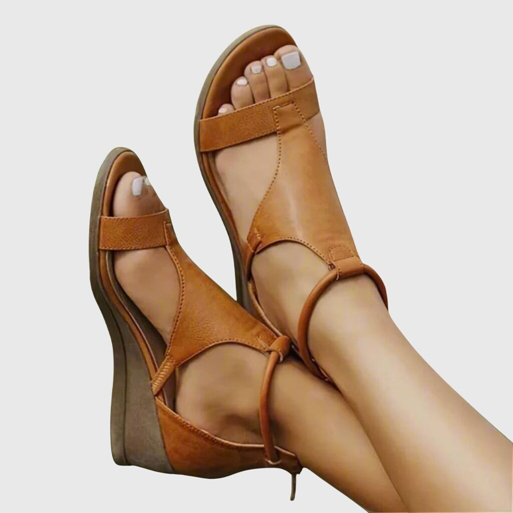 Brown / 10