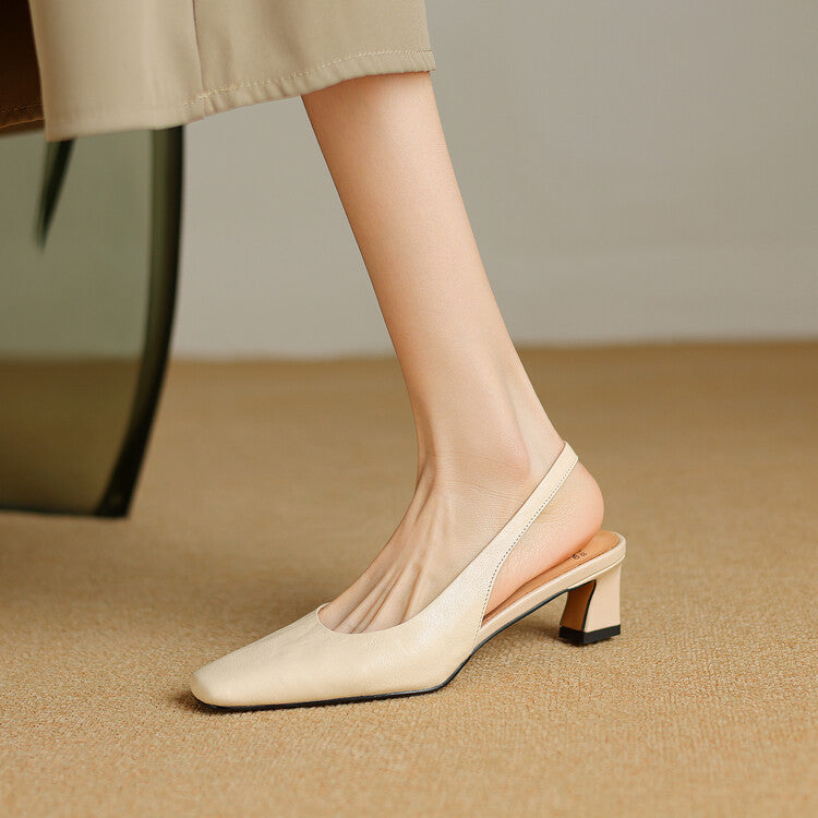 Beige / 12