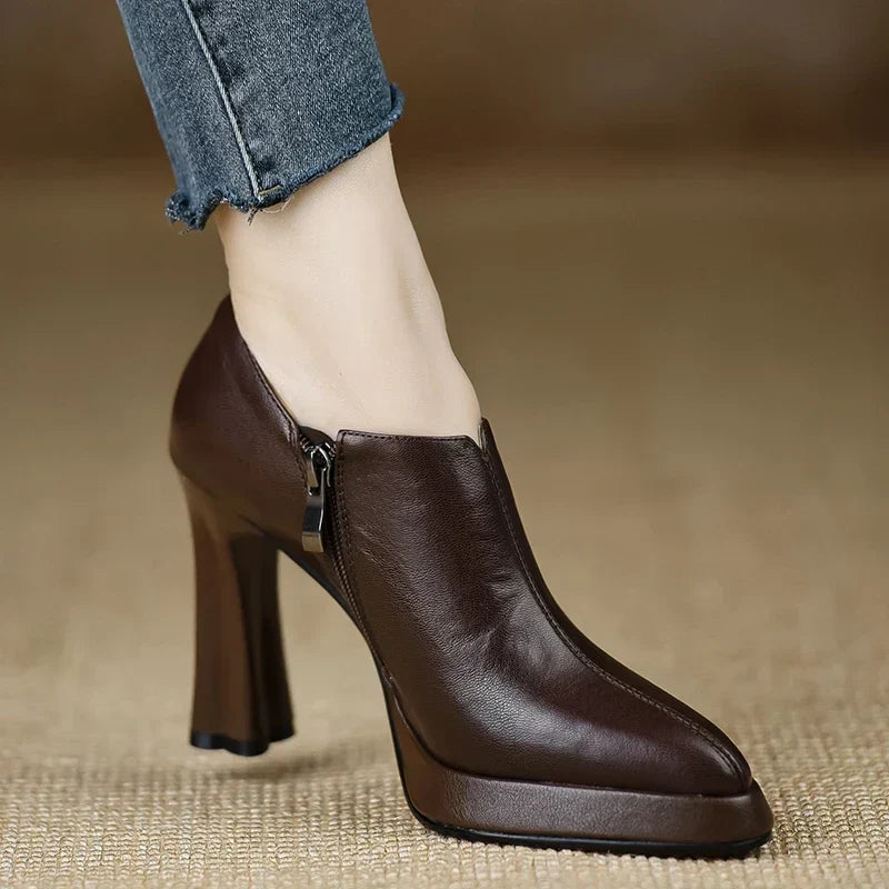 Brown / 12
